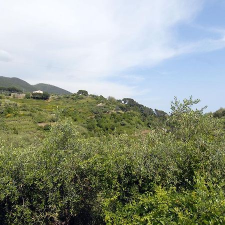 Villa Caribe Affittacamere Monterosso al Mare Zewnętrze zdjęcie